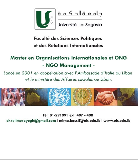 Master en Organisations Internationales et ONG