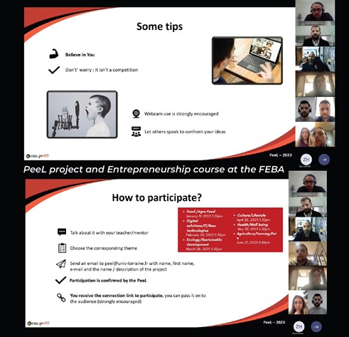 PeeL project and Entrepreneurship course at the FEBA